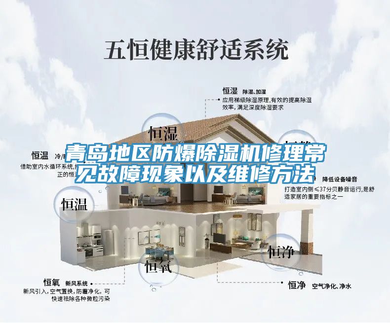 青島地區(qū)防爆除濕機(jī)修理常見(jiàn)故障現(xiàn)象以及維修方法