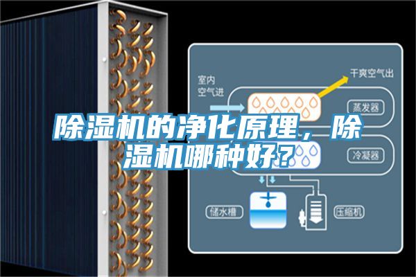 除濕機(jī)的凈化原理，除濕機(jī)哪種好？