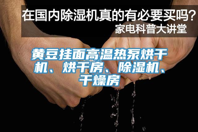 黃豆掛面高溫?zé)岜煤娓蓹C(jī)、烘干房、除濕機(jī)、干燥房
