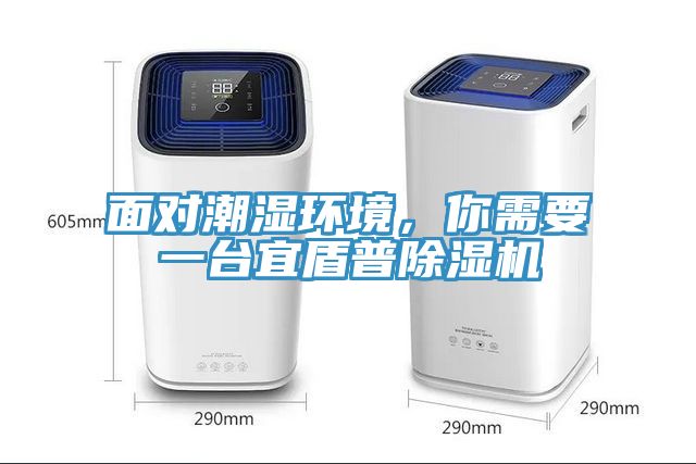 面對(duì)潮濕環(huán)境，你需要一臺(tái)宜盾普除濕機(jī)