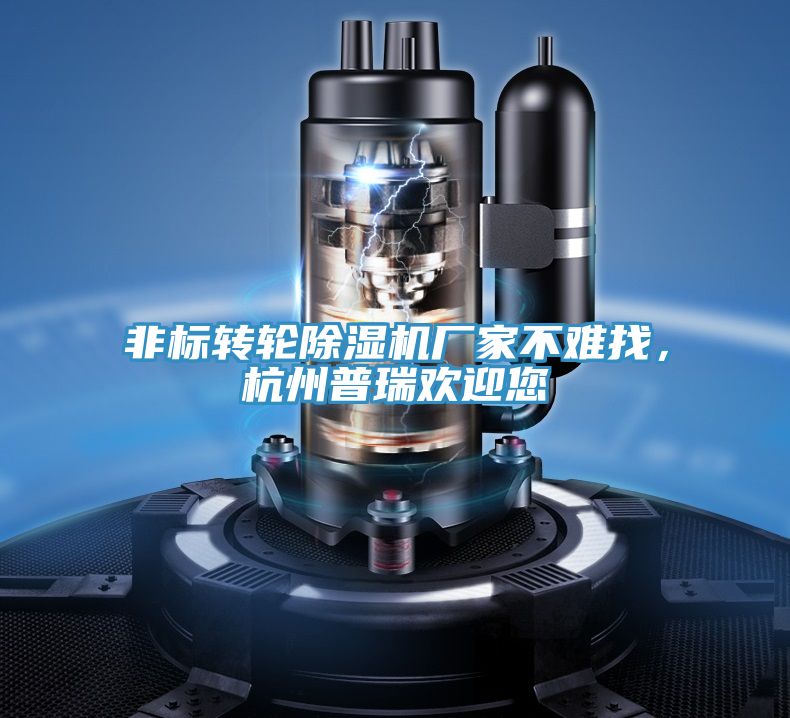 非標(biāo)轉(zhuǎn)輪除濕機(jī)廠家不難找，杭州普瑞歡迎您