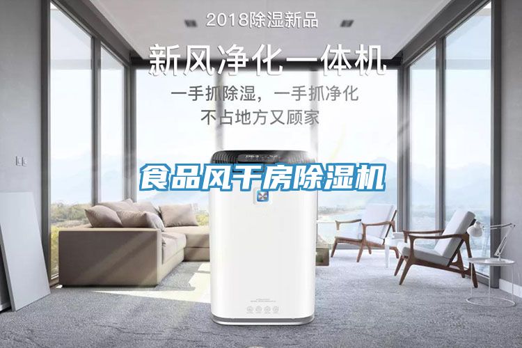食品風(fēng)干房除濕機