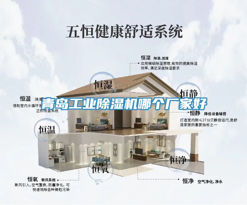 青島工業(yè)除濕機(jī)哪個(gè)廠家好