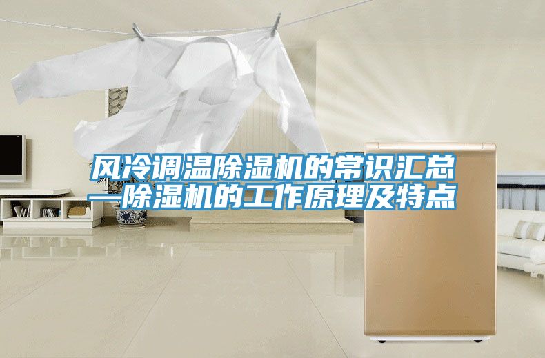 風(fēng)冷調(diào)溫除濕機(jī)的常識(shí)匯總—除濕機(jī)的工作原理及特點(diǎn)