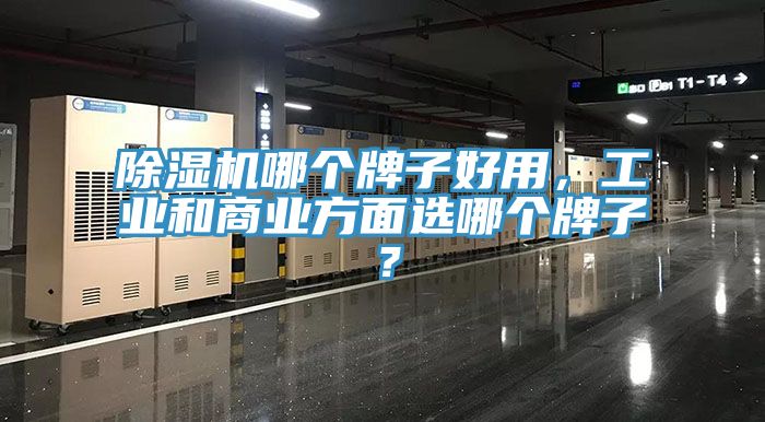 除濕機(jī)哪個(gè)牌子好用，工業(yè)和商業(yè)方面選哪個(gè)牌子？
