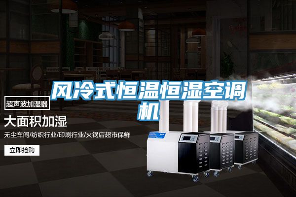風(fēng)冷式恒溫恒濕空調(diào)機