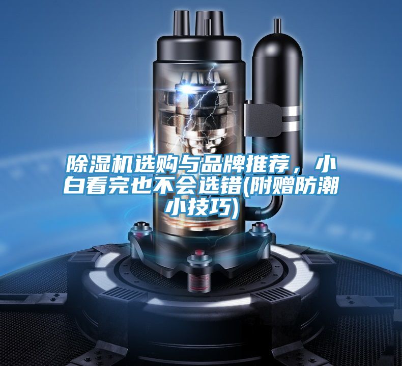除濕機(jī)選購(gòu)與品牌推薦，小白看完也不會(huì)選錯(cuò)(附贈(zèng)防潮小技巧)