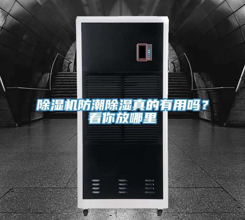 除濕機(jī)防潮除濕真的有用嗎？看你放哪里