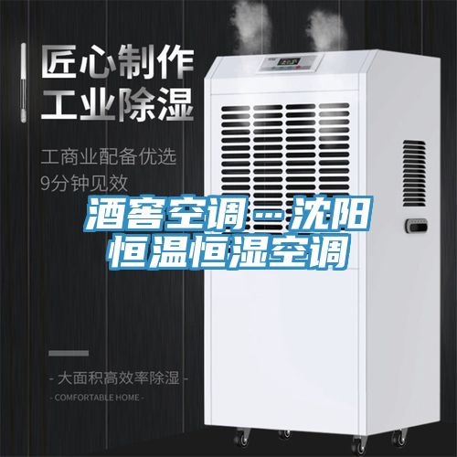 酒窖空調(diào)…沈陽(yáng)恒溫恒濕空調(diào)