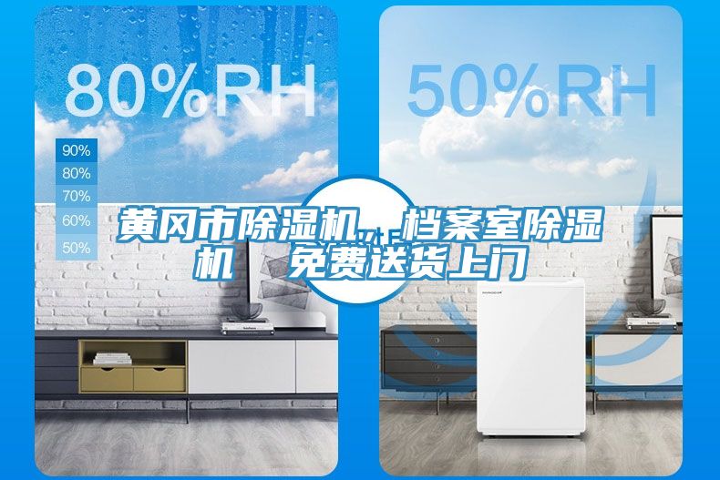 黃岡市除濕機(jī)，檔案室除濕機(jī)  免費(fèi)送貨上門