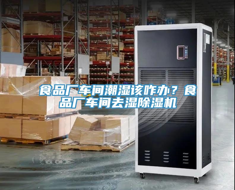 食品廠車間潮濕該咋辦？食品廠車間去濕除濕機(jī)