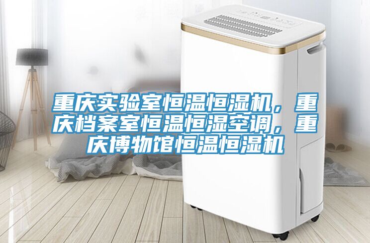重慶實驗室恒溫恒濕機，重慶檔案室恒溫恒濕空調(diào)，重慶博物館恒溫恒濕機