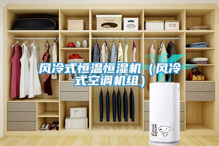 風(fēng)冷式恒溫恒濕機（風(fēng)冷式空調(diào)機組）