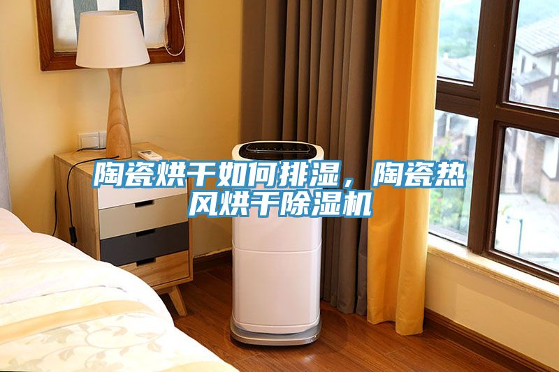 陶瓷烘干如何排濕，陶瓷熱風烘干除濕機