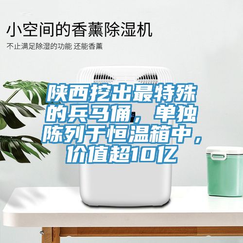 陜西挖出最特殊的兵馬俑，單獨(dú)陳列于恒溫箱中，價(jià)值超10億