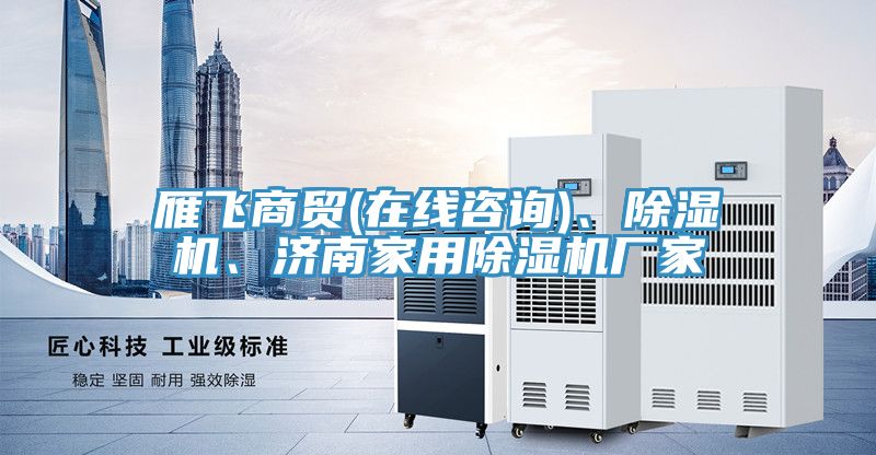 雁飛商貿(mào)(在線咨詢)、除濕機、濟南家用除濕機廠家