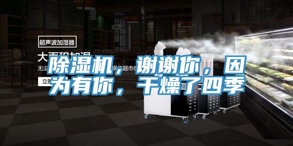除濕機，謝謝你，因為有你，干燥了四季