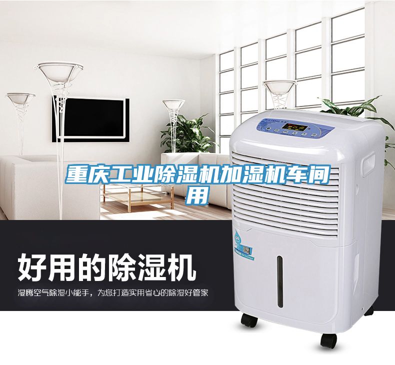 重慶工業(yè)除濕機(jī)加濕機(jī)車(chē)間用