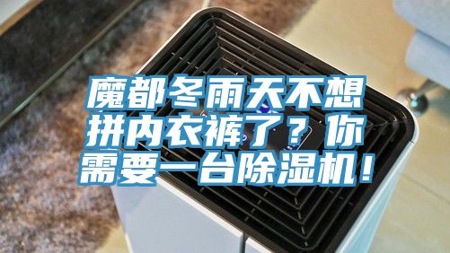 魔都冬雨天不想拼內(nèi)衣褲了？你需要一臺(tái)除濕機(jī)！
