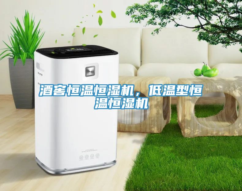酒窖恒溫恒濕機(jī)，低溫型恒溫恒濕機(jī)