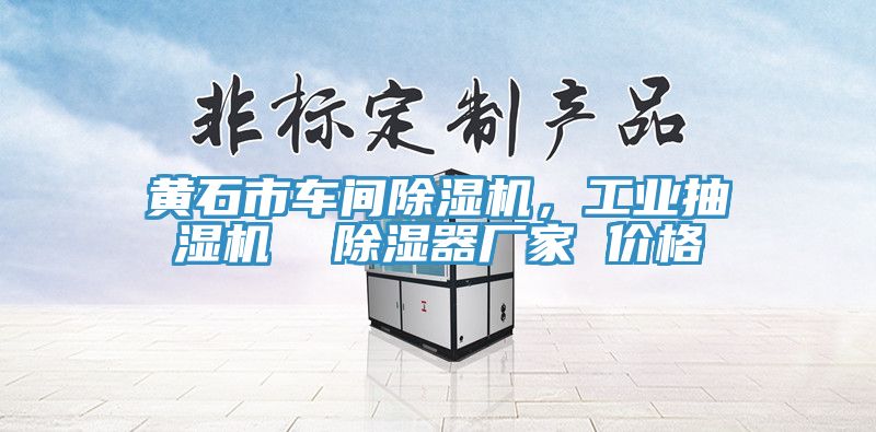 黃石市車間除濕機(jī)，工業(yè)抽濕機(jī)  除濕器廠家 價(jià)格