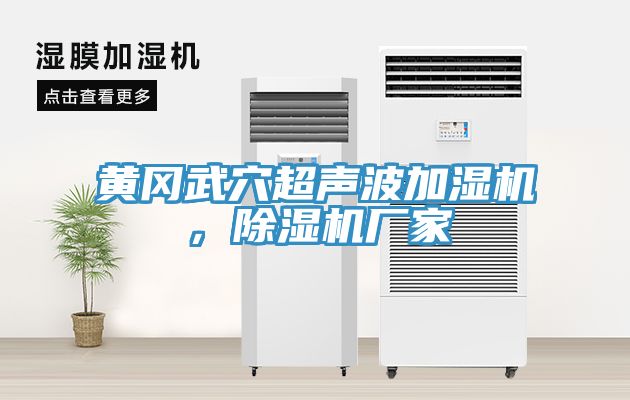 黃岡武穴超聲波加濕機，除濕機廠家