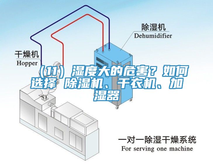 （11）濕度大的危害？如何選擇 除濕機(jī)、干衣機(jī)、加濕器