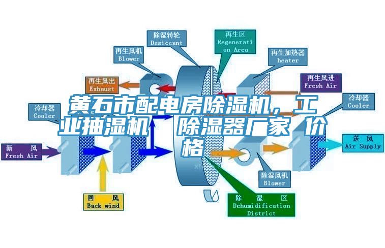 黃石市配電房除濕機(jī)，工業(yè)抽濕機(jī)  除濕器廠家 價(jià)格