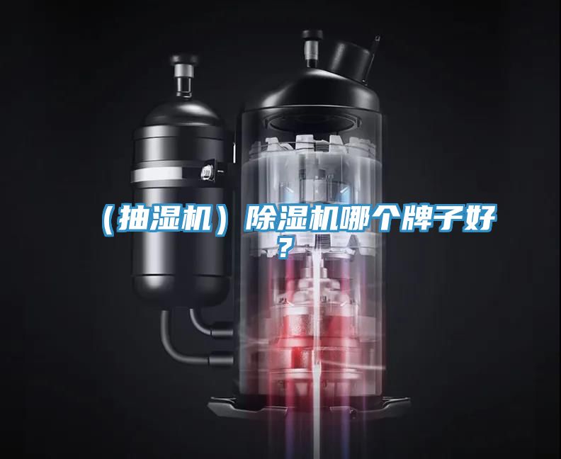 （抽濕機(jī)）除濕機(jī)哪個(gè)牌子好？