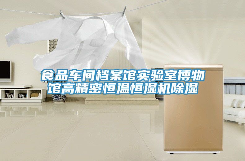 食品車(chē)間檔案館實(shí)驗(yàn)室博物館高精密恒溫恒濕機(jī)除濕
