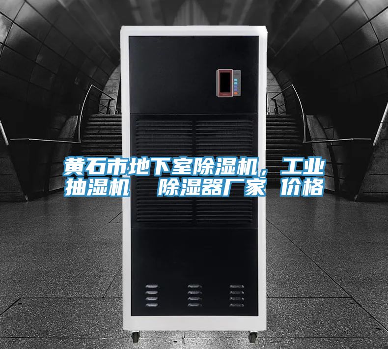 黃石市地下室除濕機(jī)，工業(yè)抽濕機(jī)  除濕器廠家 價(jià)格