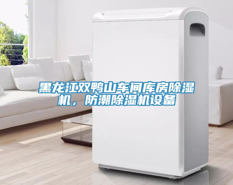 黑龍江雙鴨山車間庫房除濕機(jī)，防潮除濕機(jī)設(shè)備