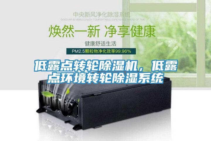 低露點轉輪除濕機，低露點環(huán)境轉輪除濕系統(tǒng)
