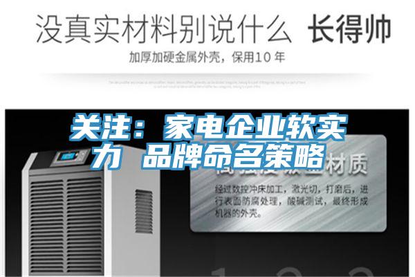 關注：家電企業(yè)軟實力 品牌命名策略