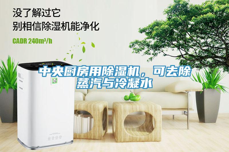 中央廚房用除濕機，可去除蒸汽與冷凝水
