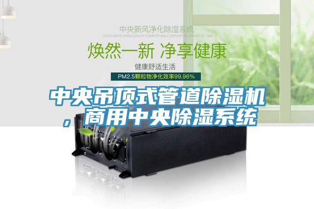 中央吊頂式管道除濕機(jī)，商用中央除濕系統(tǒng)