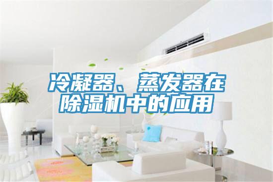 冷凝器、蒸發(fā)器在除濕機(jī)中的應(yīng)用