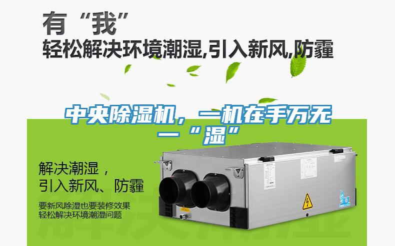 中央除濕機，一機在手萬無一“濕”