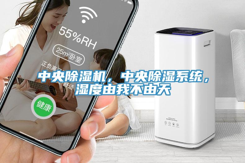 中央除濕機，中央除濕系統(tǒng)，濕度由我不由天