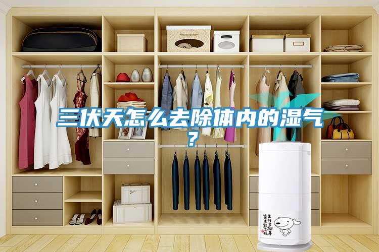 三伏天怎么去除體內的濕氣？
