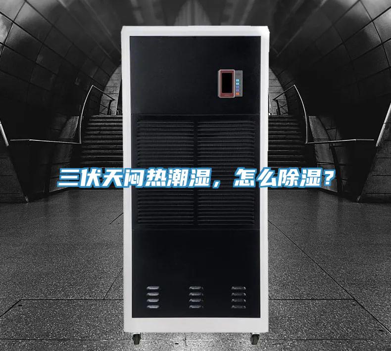 三伏天悶熱潮濕，怎么除濕？