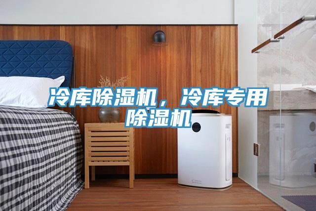 冷庫(kù)除濕機(jī)，冷庫(kù)專用除濕機(jī)