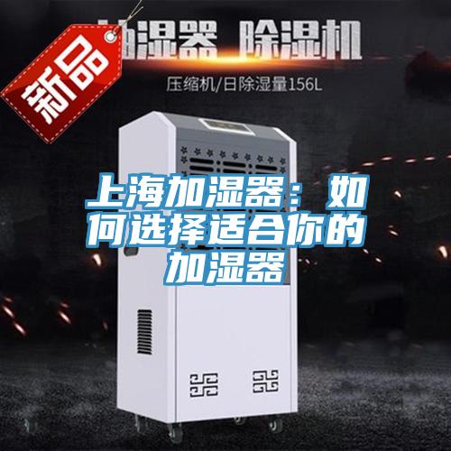 上海加濕器：如何選擇適合你的加濕器