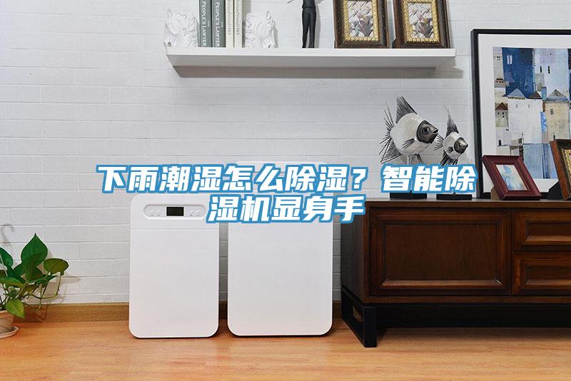 下雨潮濕怎么除濕？智能除濕機顯身手
