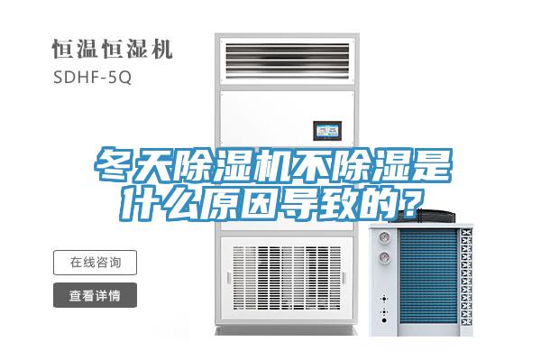 冬天除濕機(jī)不除濕是什么原因?qū)е碌模?/></p>
                            <p style=