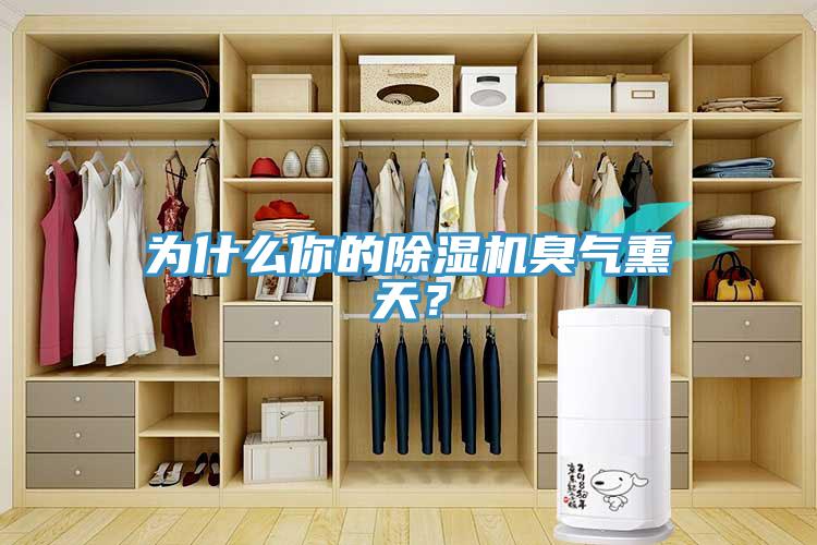 為什么你的除濕機(jī)臭氣熏天？