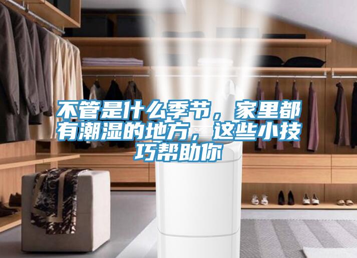 不管是什么季節(jié)，家里都有潮濕的地方，這些小技巧幫助你
