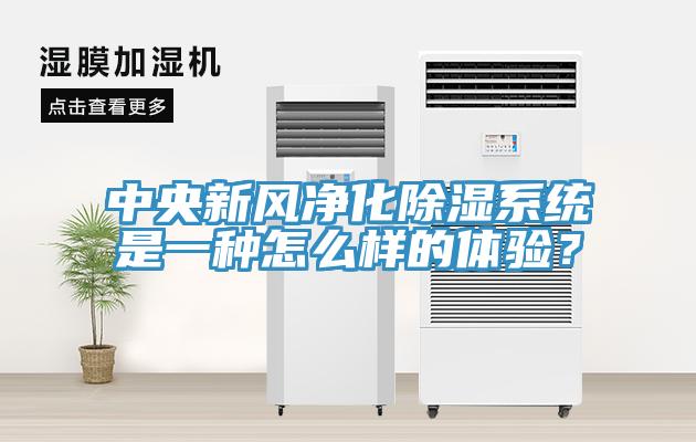 中央新風凈化除濕系統(tǒng)是一種怎么樣的體驗？