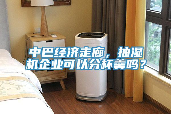 中巴經濟走廊，抽濕機企業(yè)可以分杯羹嗎？