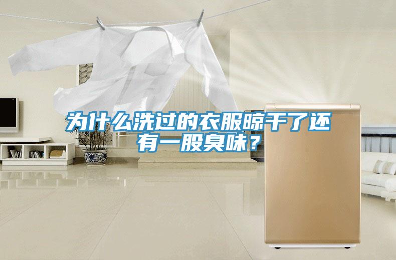 為什么洗過的衣服晾干了還有一股臭味？